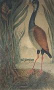 Henri Rousseau, Wader